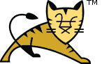 Apache Tomcat/9.0.30